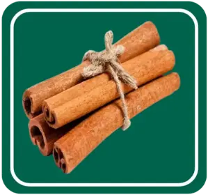 Dalchini (Cinnamon)