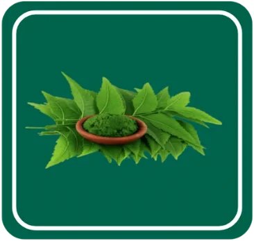 Neem