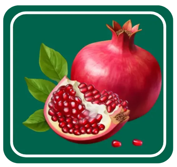 Pomegranate