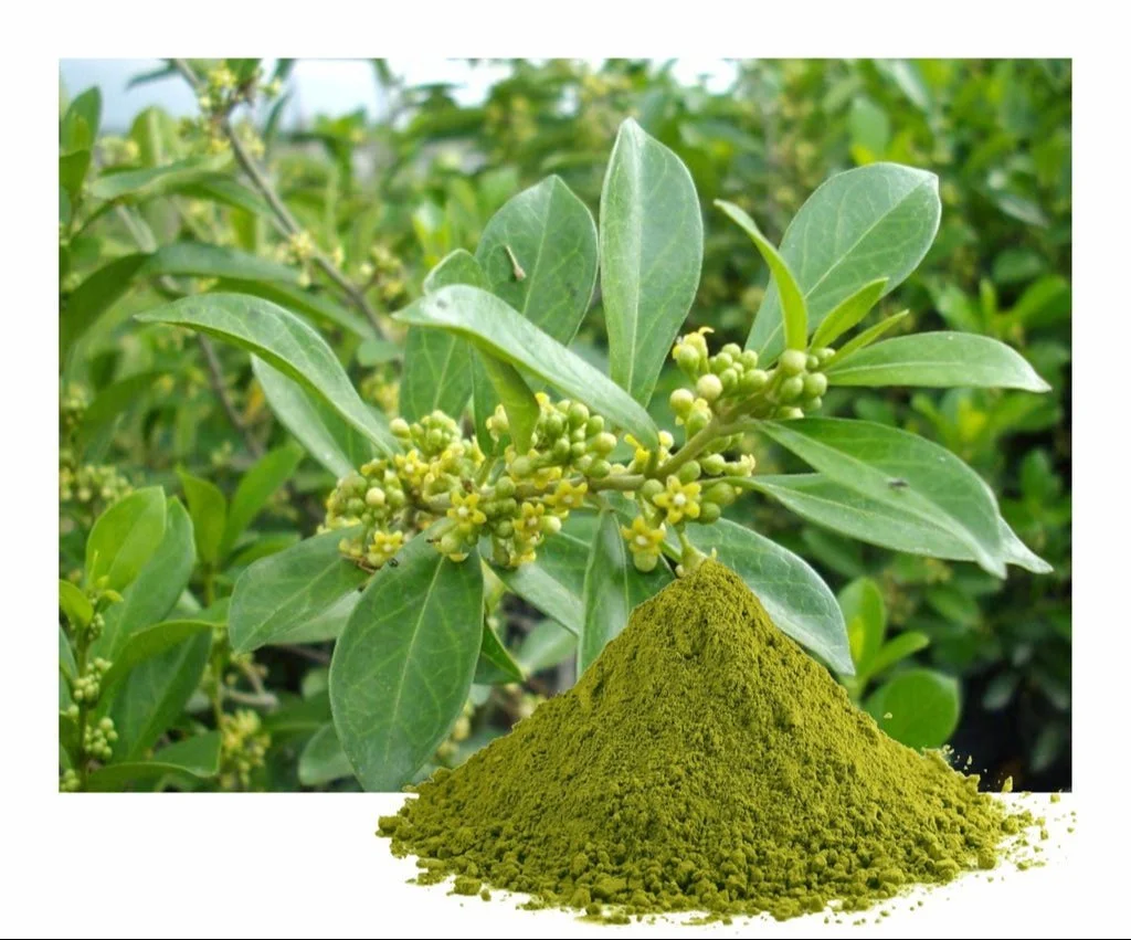 Shilajit