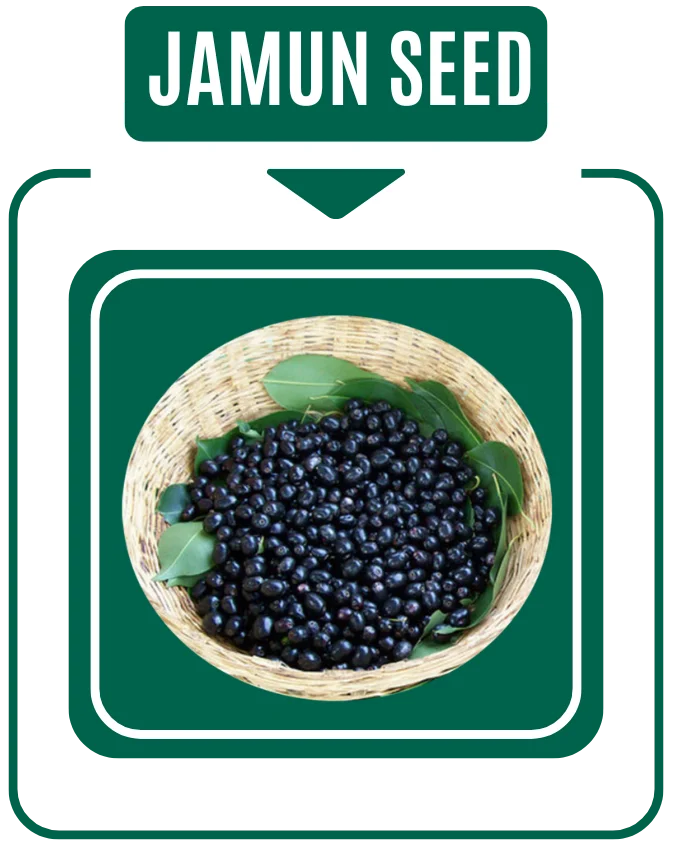 Jamun Seed