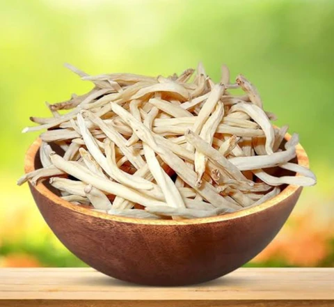 Safed Musli