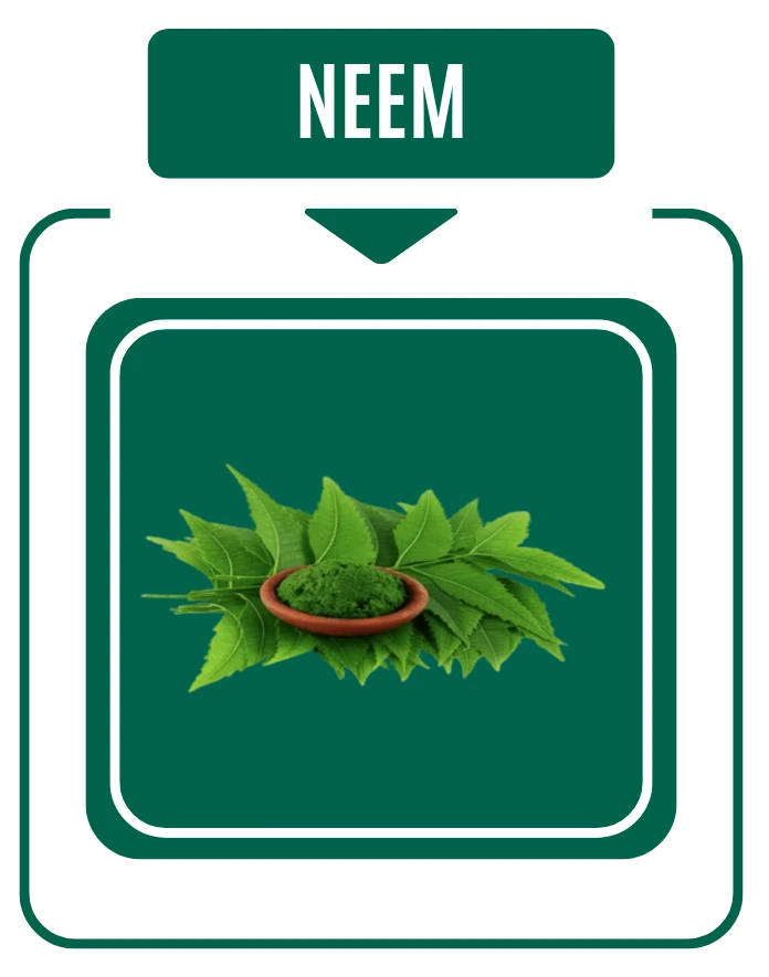 Neem