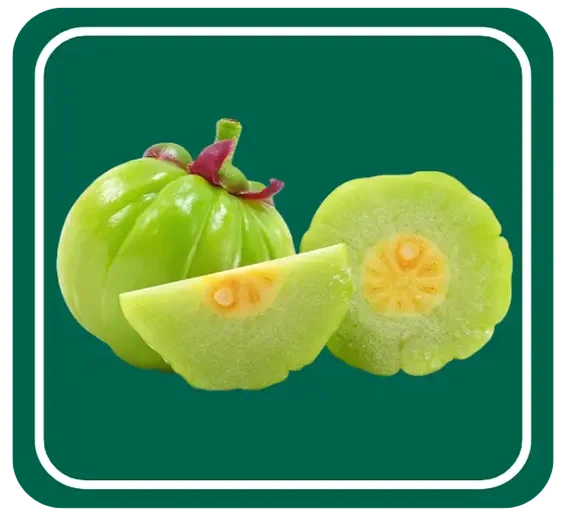 Gummi Gutta