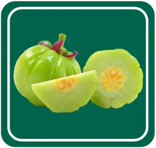 Gummi Gutta