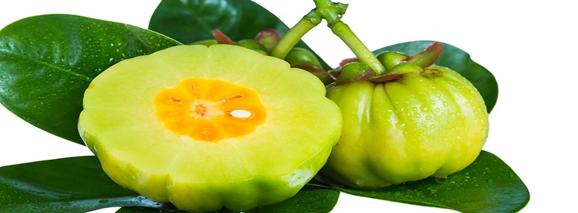 Gummi Gutta (Garcinia Cambogia) के बारे में