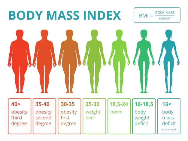 Best Calories Calculator for Weight Management